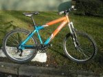 decathlon_le_kid_sanglier_95.jpg