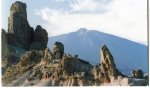 =TENERIFE= (30).jpg