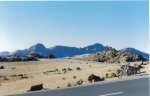=TENERIFE= (36).jpg