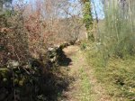 CIMG0042 (Medium).JPG