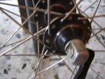 DSC00738.JPG