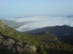 DSC00260.jpg