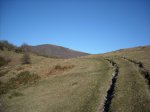 Image_001.jpg