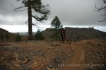 DSC_2286.jpg