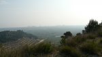P1090284_resize.JPG