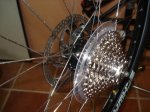 DSC06543.jpg