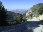 DSC07479.jpg