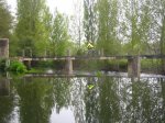 IMG_4958.jpg