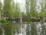 IMG_4966.jpg