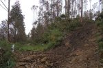 DSC01073.JPG