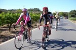 DSC01482.jpg