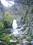 DSC_1387.jpg