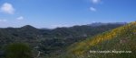 Panorama 7.JPG