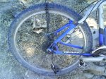 DSC00392.jpg