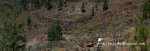 Panorama 3.JPG