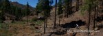 Panorama 8.JPG