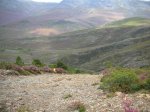 Image_004.JPG