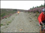 P5170027 (Copiar).jpg