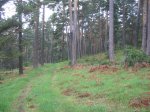 Imagen 026.jpg