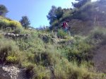 24052009560.jpg