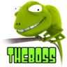 theBOSS