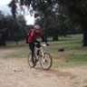 pamplo
