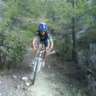 mzcocobike