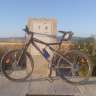 bolox