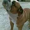 tocomen