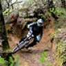 pau_dh_dirt
