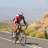 javierto contador