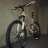 Zarse