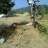 alvaro_dirt