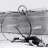 Tropic